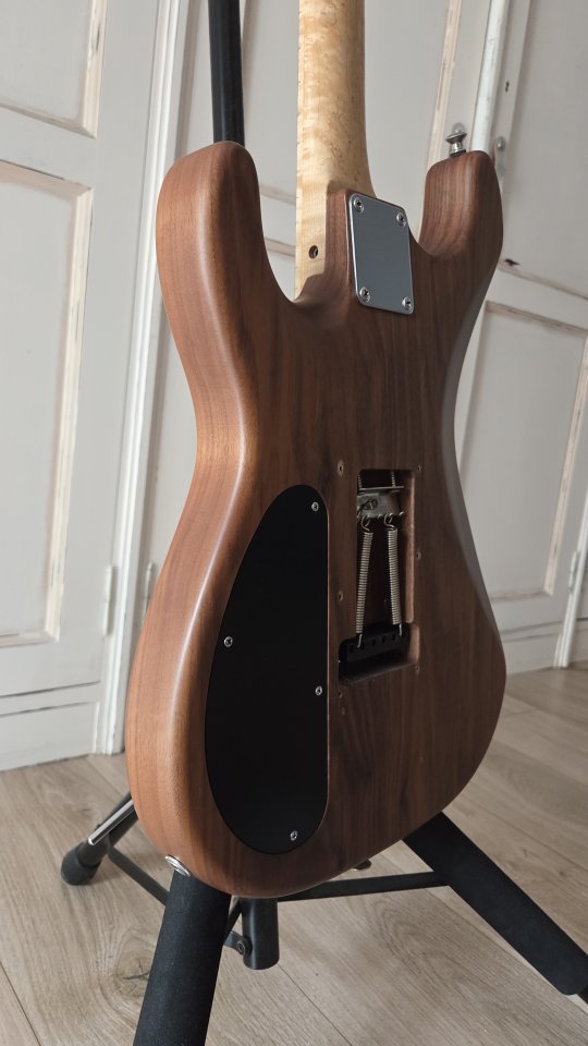 Guitarra Warmoth - Vendo/Cambio (Actualizado)