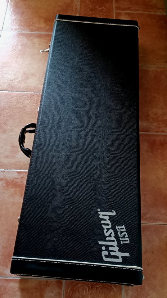 Estuche original para guitarra Gibson firebird. de segunda mano · Foto 1 de 8 · Madrid · 125 €