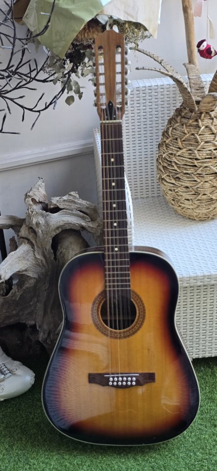 12 cuerdas guitarra Acústica