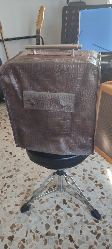 Epiphone Electar Century edición limitada 18w