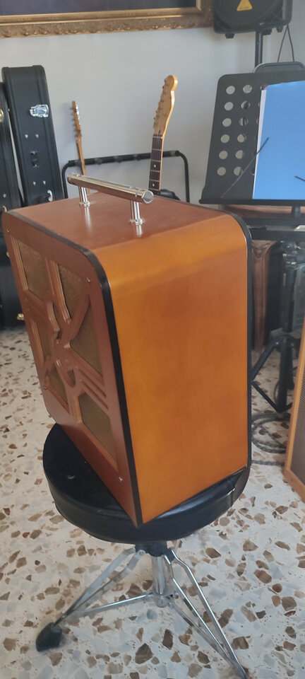 Epiphone Electar Century edición limitada 18w