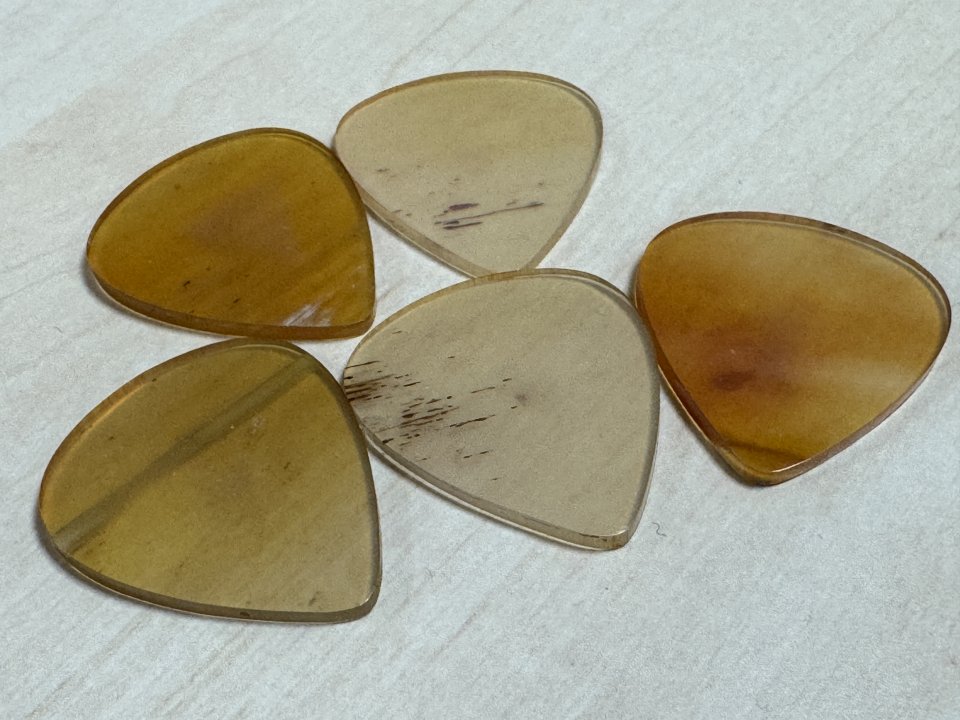 Puas de Cuerno de buey Ambar