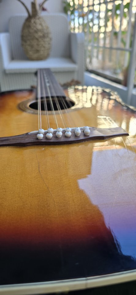 12 cuerdas guitarra Acústica