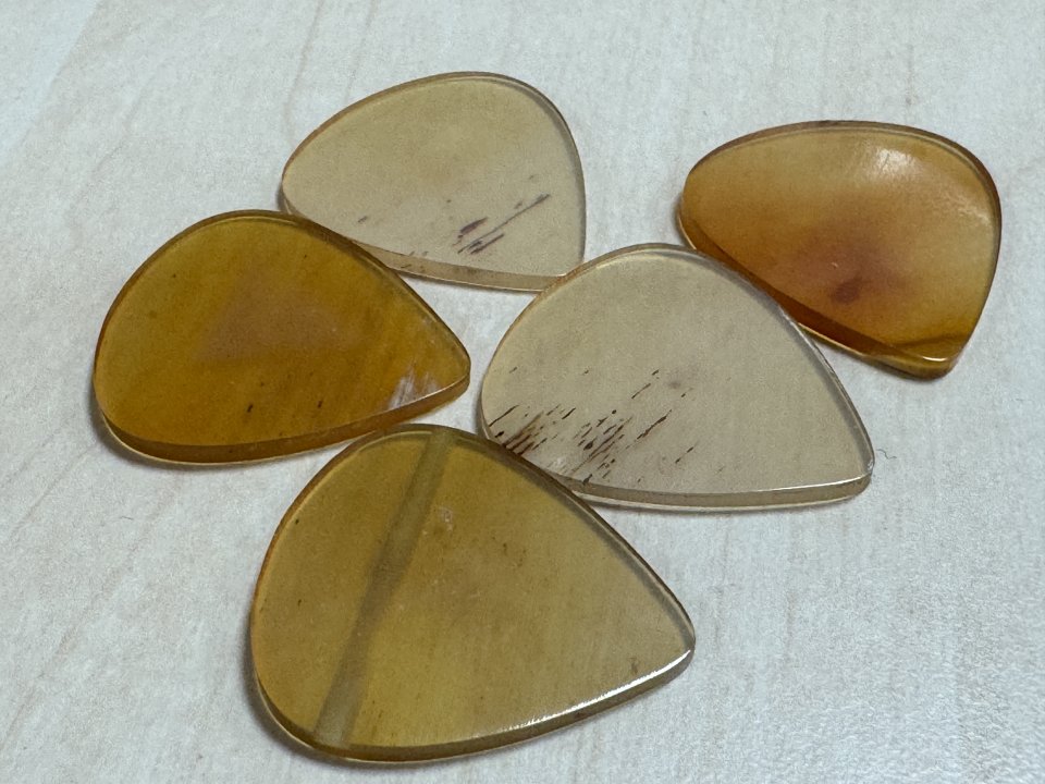 Puas de Cuerno de buey Ambar