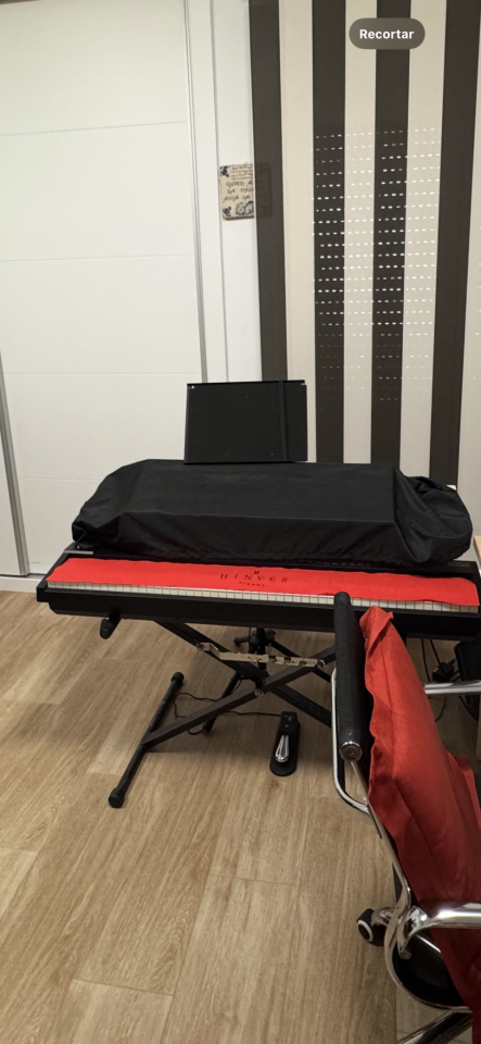 ROLAND RD 88 actualizado a EX