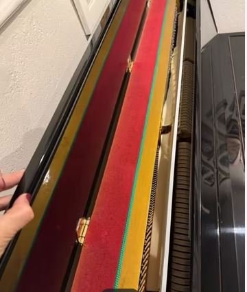 Vendo Piano Pearl River acústico