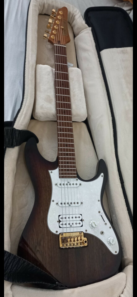 Ibanez AZ Premium 224bcg