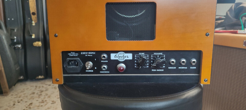 Epiphone Electar Century edición limitada 18w