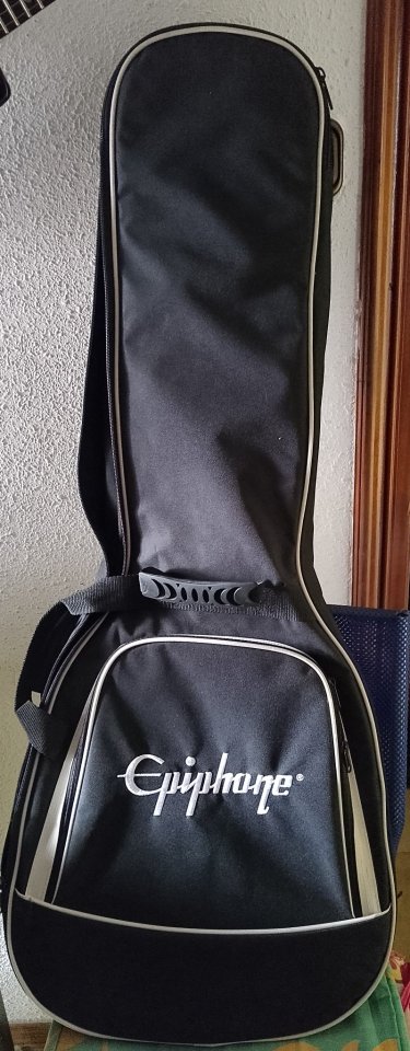 Epiphone sg modern purple burst