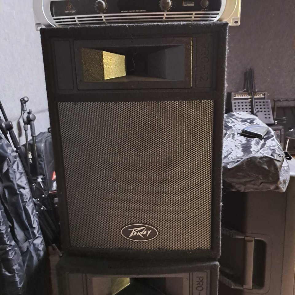 Altavoces Peavey PRO 12 + Etapa Behringer REBAJADO