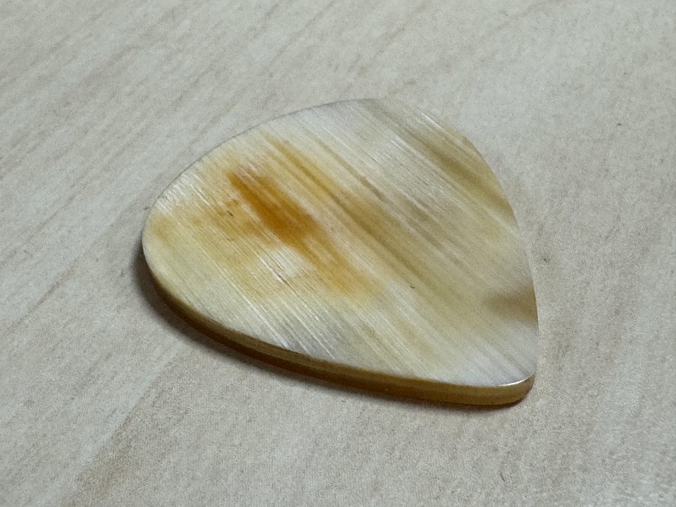 Puas de Cuerno de buey Ankola