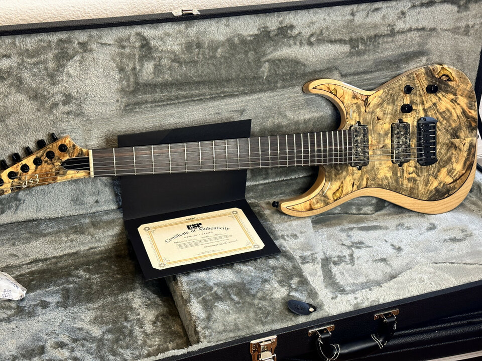 REBAJA ESP M II experimental series 7 Limited Edition!