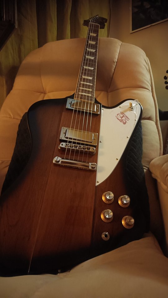 Gibson Platypus Firebird