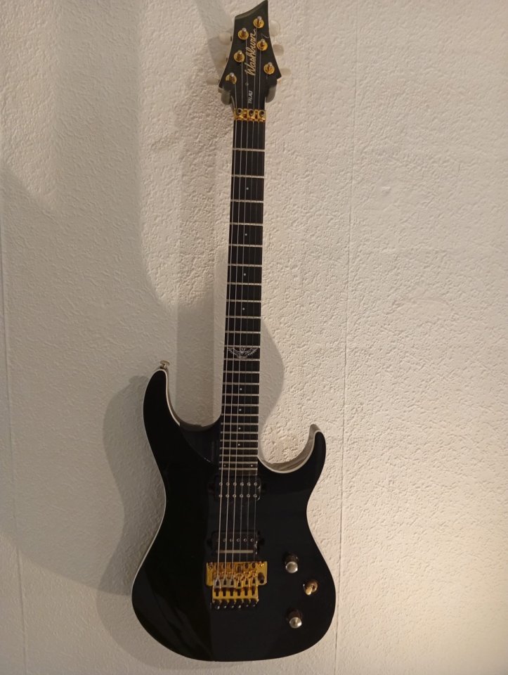 Washburn Dp100 David palau signature mejorada con Dimarzio de segunda mano · Foto 1 de 7 · Sevilla · 695 €
