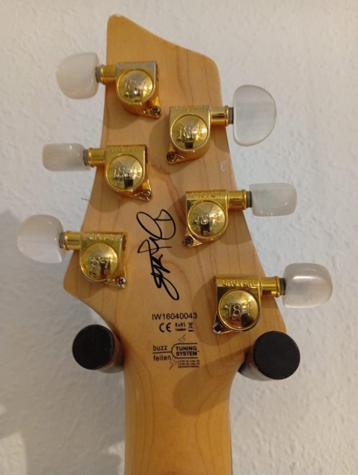 Washburn Dp100 David palau signature mejorada con Dimarzio de segunda mano · Foto 5 de 7 · Sevilla · 695 €