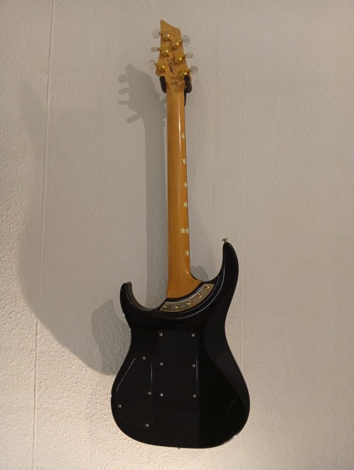 Washburn Dp100 David palau signature mejorada con Dimarzio de segunda mano · Foto 7 de 7 · Sevilla · 695 €