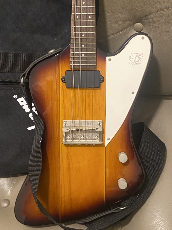 Mandolina Eléctrica Epiphone Mandobird VIII de segunda mano · Foto 4 de 5 · Barcelona · 300 €