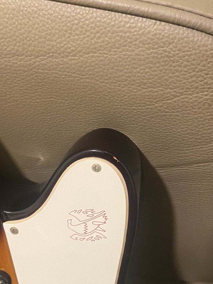 Mandolina Eléctrica Epiphone Mandobird VIII de segunda mano · Foto 5 de 5 · Barcelona · 300 €