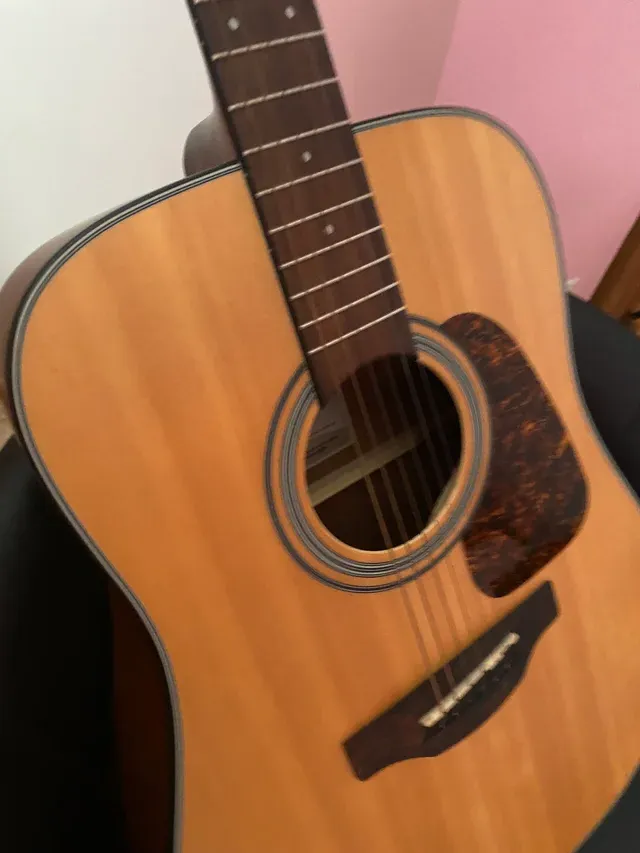 TAKAMINE GD10 ns