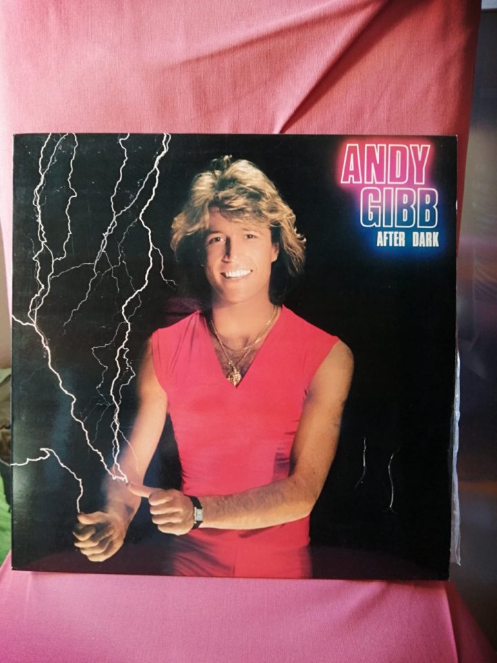 Vinilo - Andy Gibb ‎– After Dark - Disco - Rock