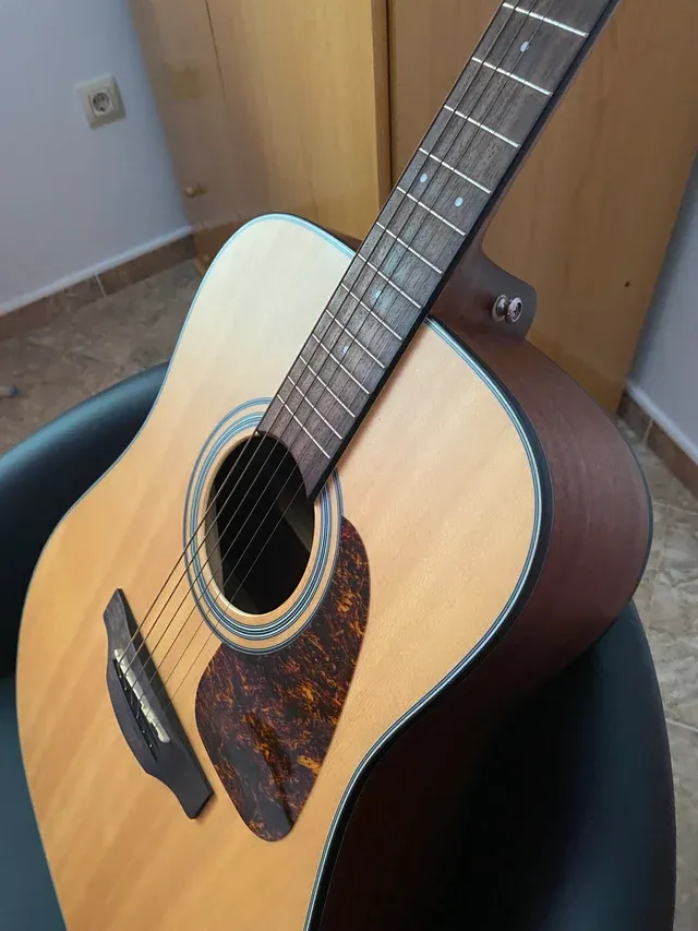 TAKAMINE GD10 ns