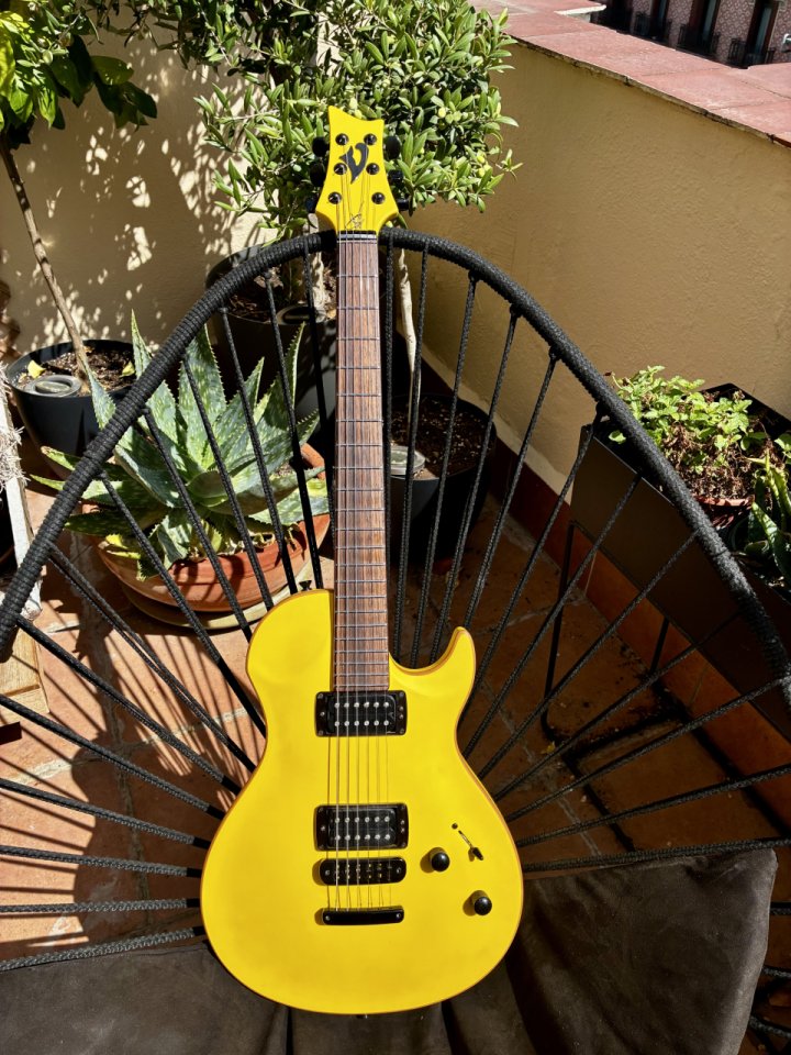 Vigier GV Mint de segunda mano · Foto 1 de 10 · Madrid · 2350 €