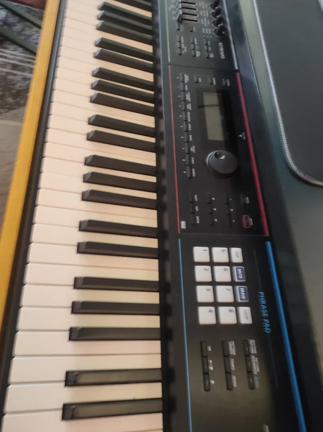 Piano Teclado Sintetizador Roland Juno DS88