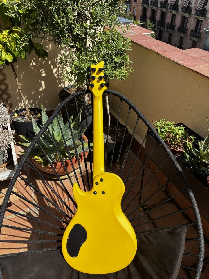 Vigier GV Mint de segunda mano · Foto 2 de 10 · Madrid · 2350 €