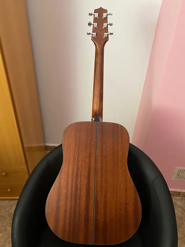 TAKAMINE GD10 ns