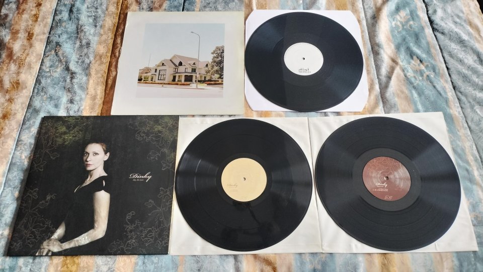 Lote - Vinilos - Minimal - House - Techno