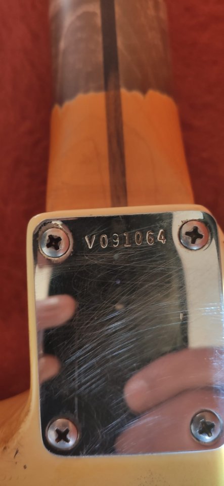 CAMBIO Fender Stratocaster American Vintage Reissue 1996