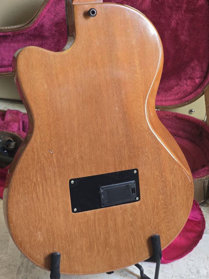 Gibson Chet Atkins CE Nylon de segunda mano · Foto 3 de 6 · Málaga · 2000 €