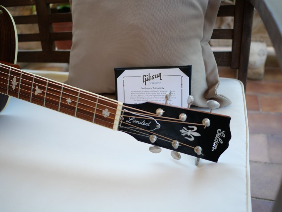 Gibson Nick Lucas Mystic Rosewood (Custom Shop)