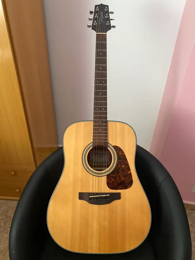 TAKAMINE GD10 ns