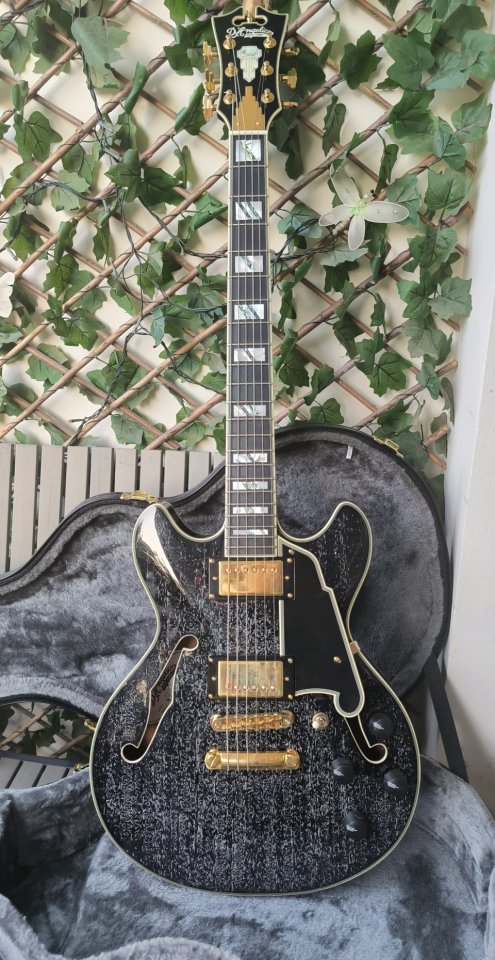 D'Angelico Excel Mini DC 2021 Black Dog hair + Groover 509G