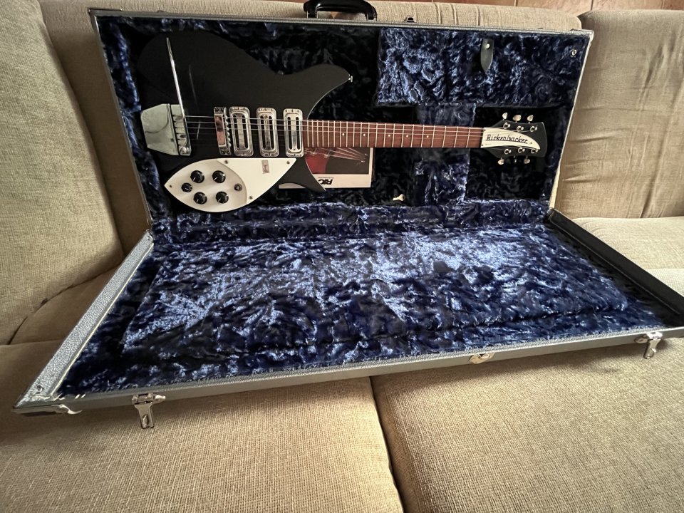 Rickenbacker 325 c64