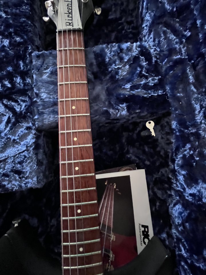 Rickenbacker 325 c64