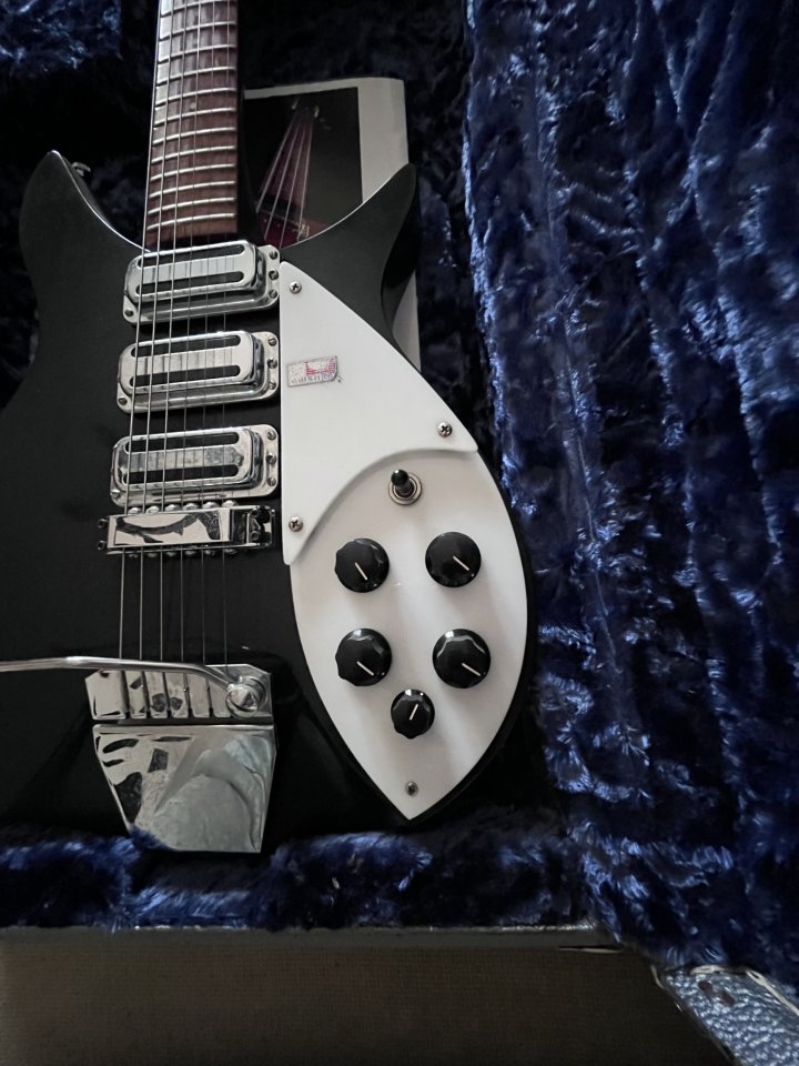 Rickenbacker 325 c64