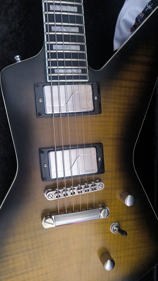 Epiphone extura