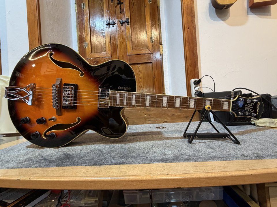 Ibanez AF75 Cruz Custom