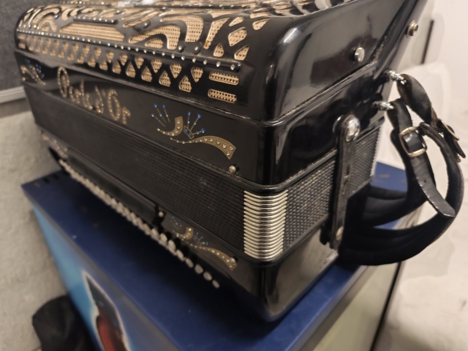 Acordeón Profesional Perle d'Or | 41 Teclas / 120 Bajos / 9 Registros (Gama Alta) de segunda mano · Foto 2 de 10 · Madrid · 3600 €