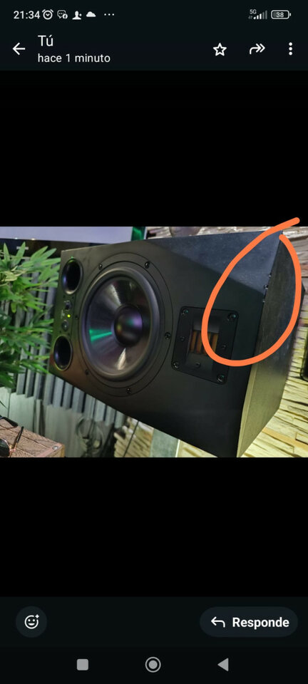 Moniteres ADAM a8x 750€ Solo esta semana