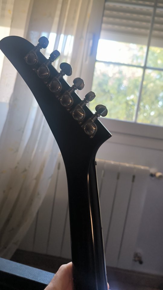 Epiphone extura
