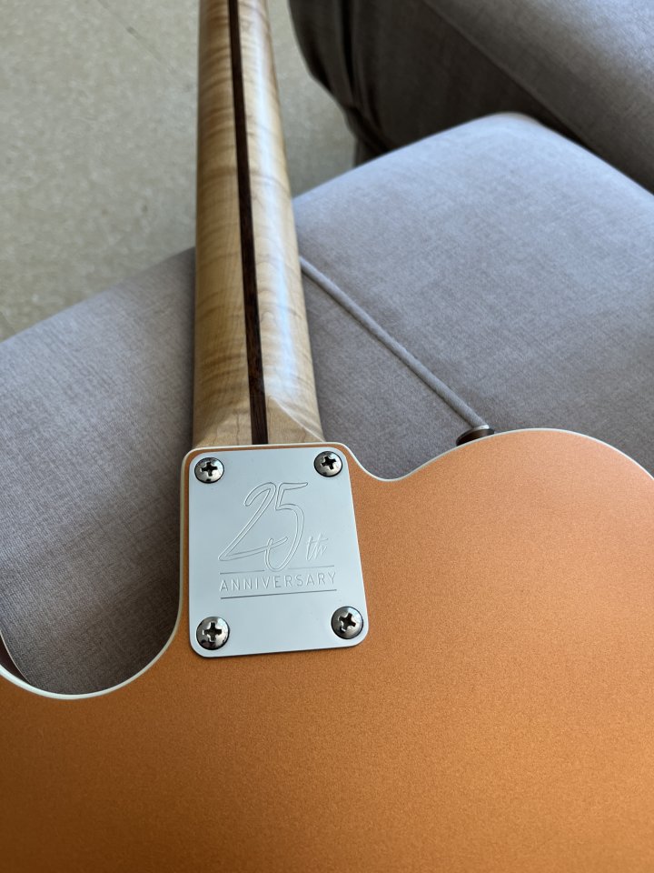 Harley Benton TE-25th Anniversary ¡FULL SET IMPECABLE! de segunda mano · Foto 5 de 10 · Barcelona · 260 €