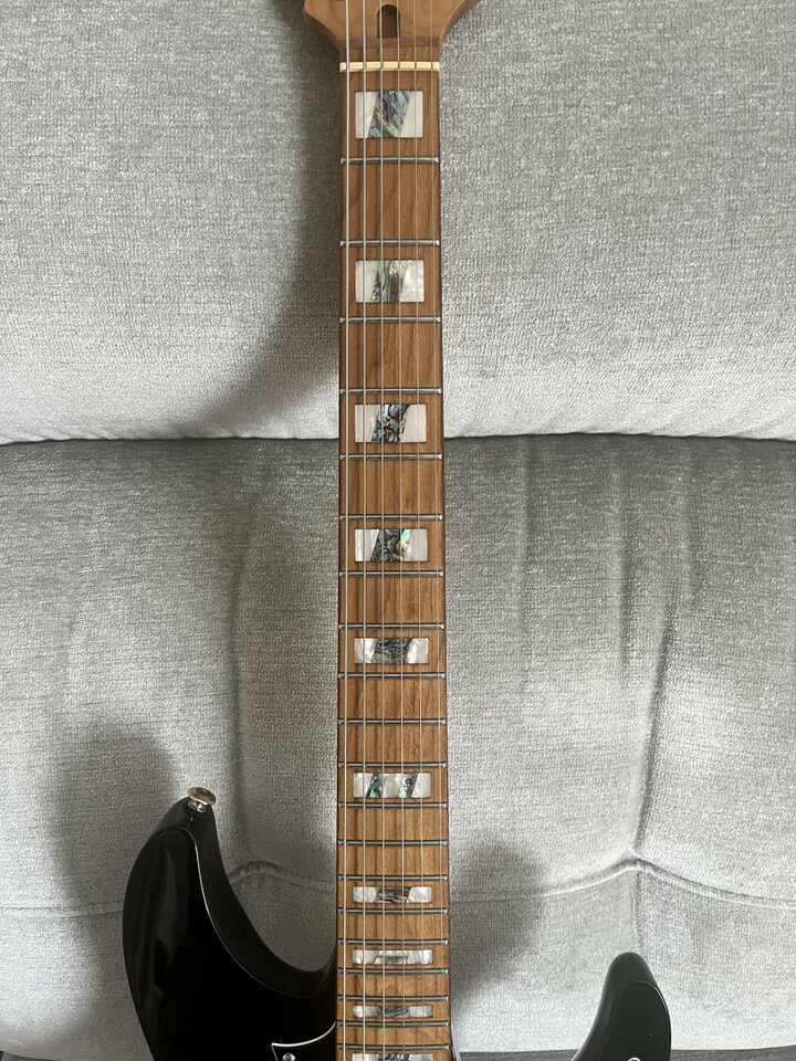 Ibanez THBB10 signature