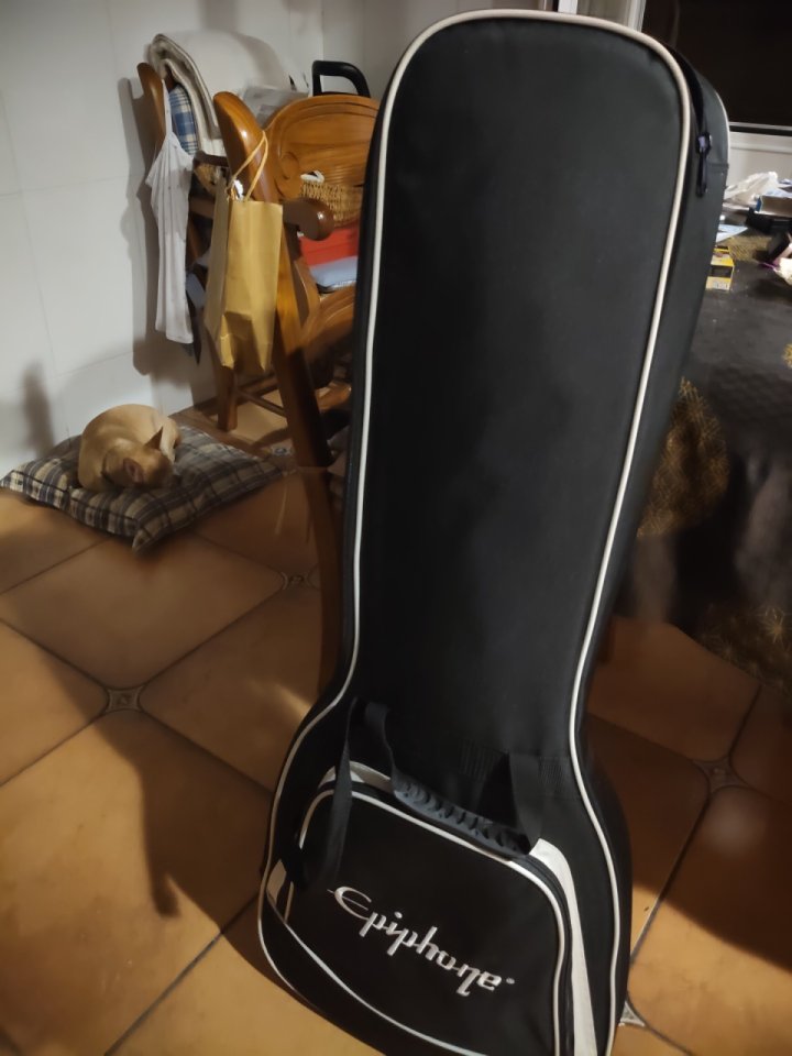 Epiphone Custom SG Futura de segunda mano · Foto 6 de 8 · Alicante · 780 €