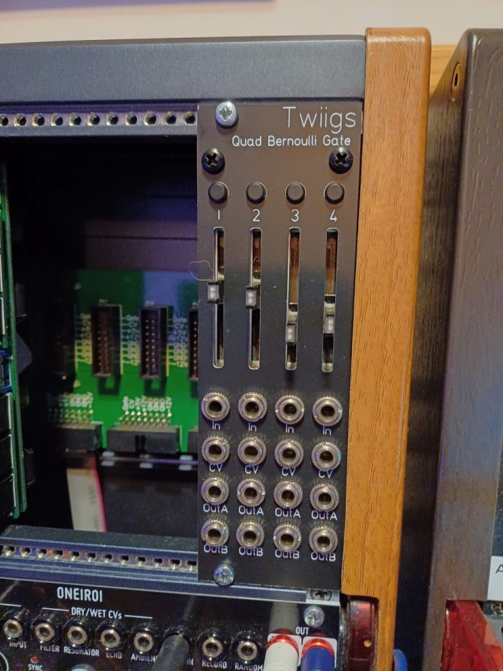 Eurorack Twiigs Dual Branches