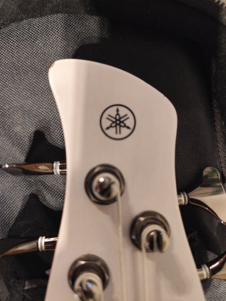 Bajo Yamaha TRBX 505 de segunda mano · Foto 6 de 6 · Valencia · 500 €