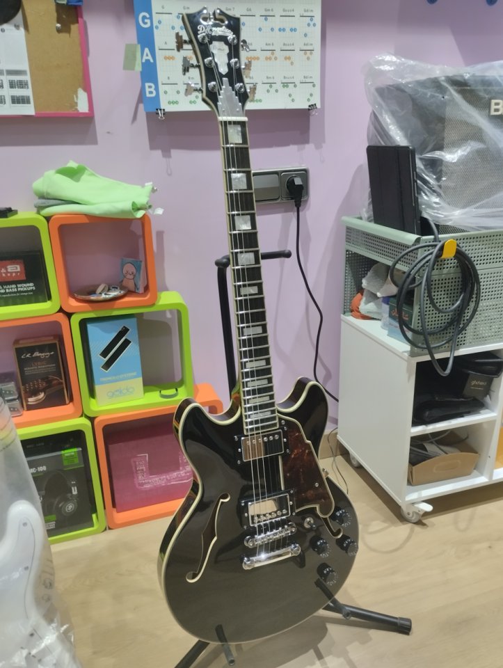 D'Angelico Mini DC con B&B pickups