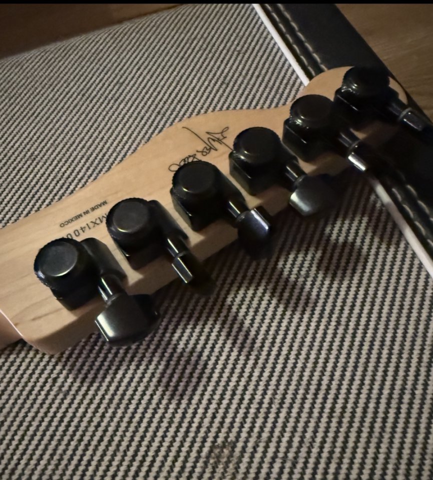 Fender Telecaster Jim Root Maple